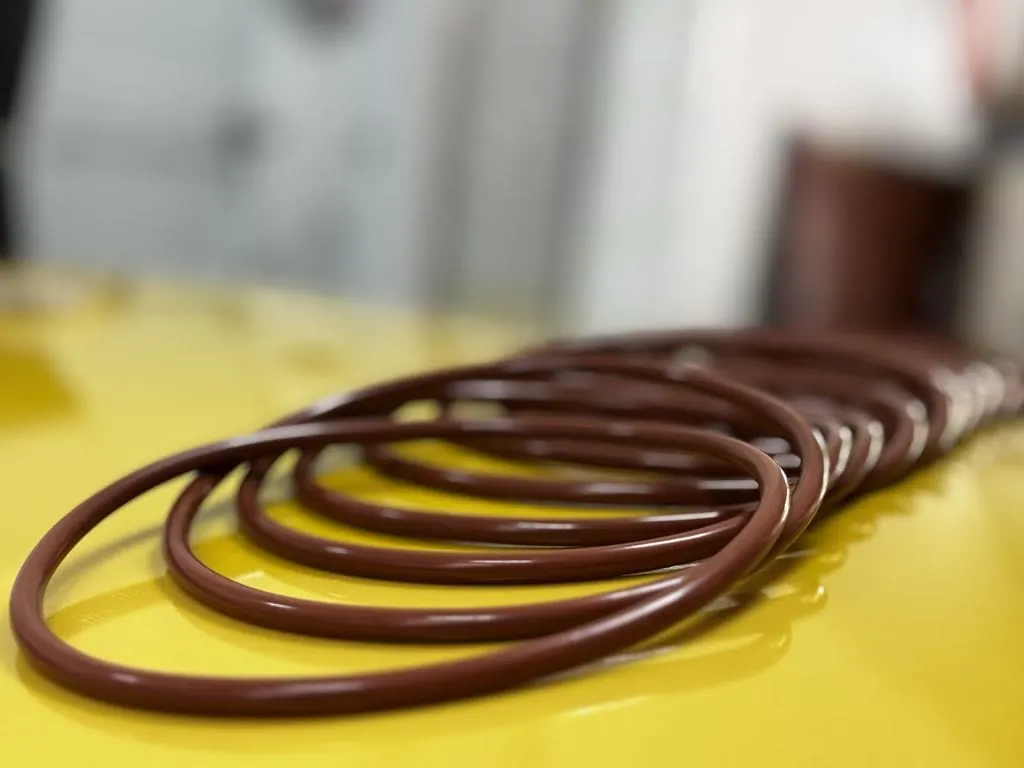 Một chiếc oring cỡ lớn đặt cạnh chồng oring