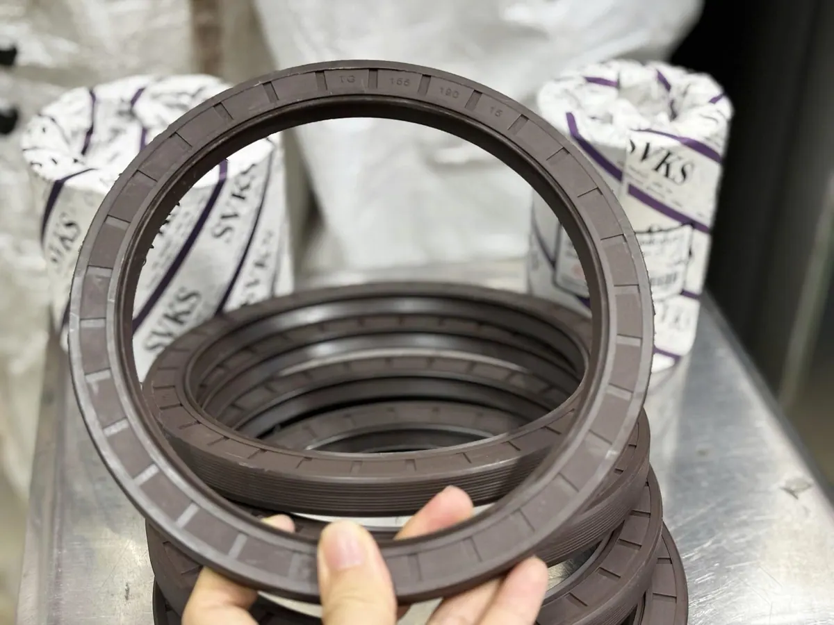 Tay giữ chiếc phớt Viton cỡ lớn trước bao bì hãng